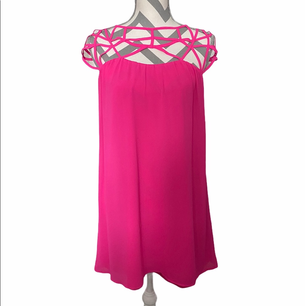 Naked Zebra Cage Dress